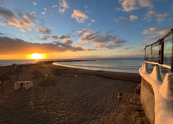 Happy Day Americas Ponderosa *