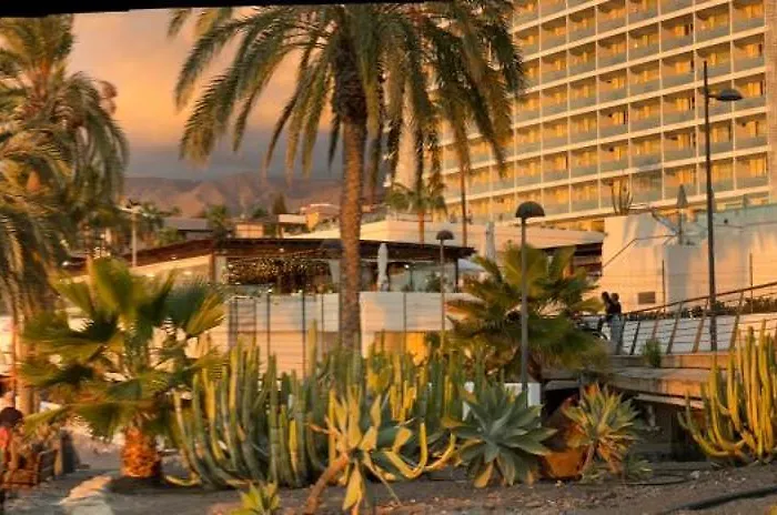 Happy Day Americas Ponderosa
