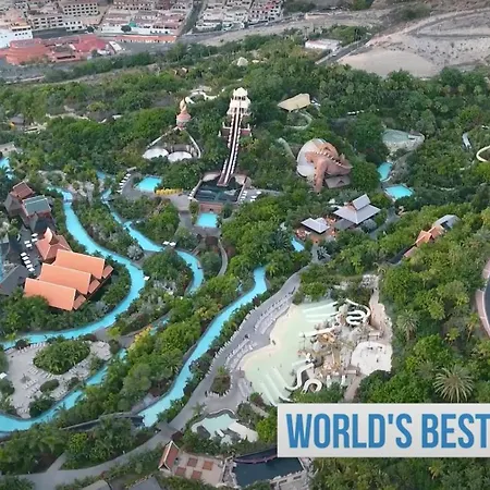 Happy Day Americas Ponderosa