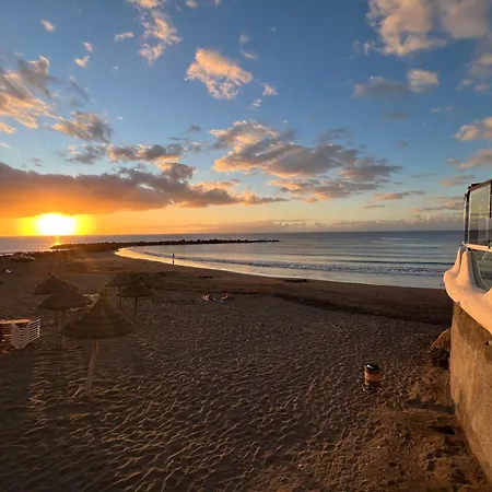 Happy Day Americas Ponderosa *