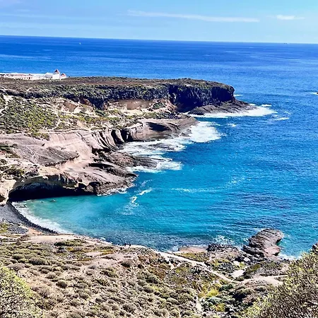 Happy Day Americas Ponderosa *